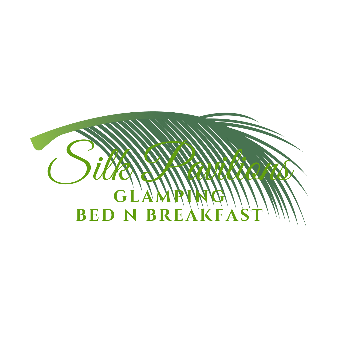 silkpavilions